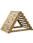 Physical Development