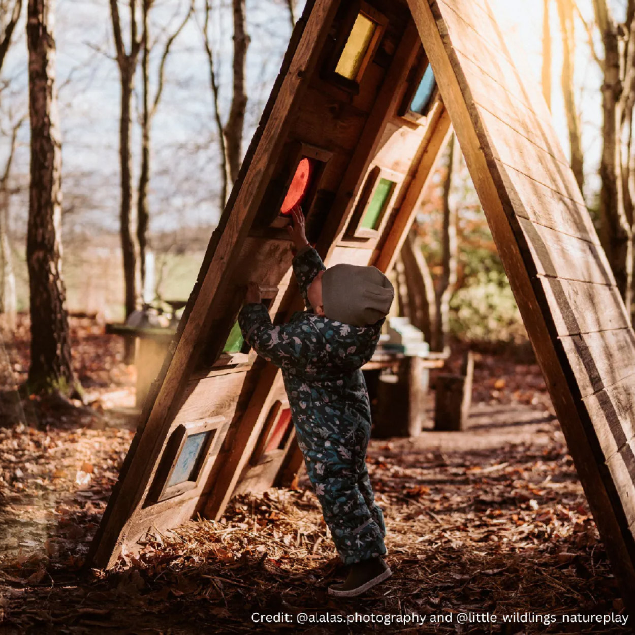Explore the Cosy Environment and sustainability page