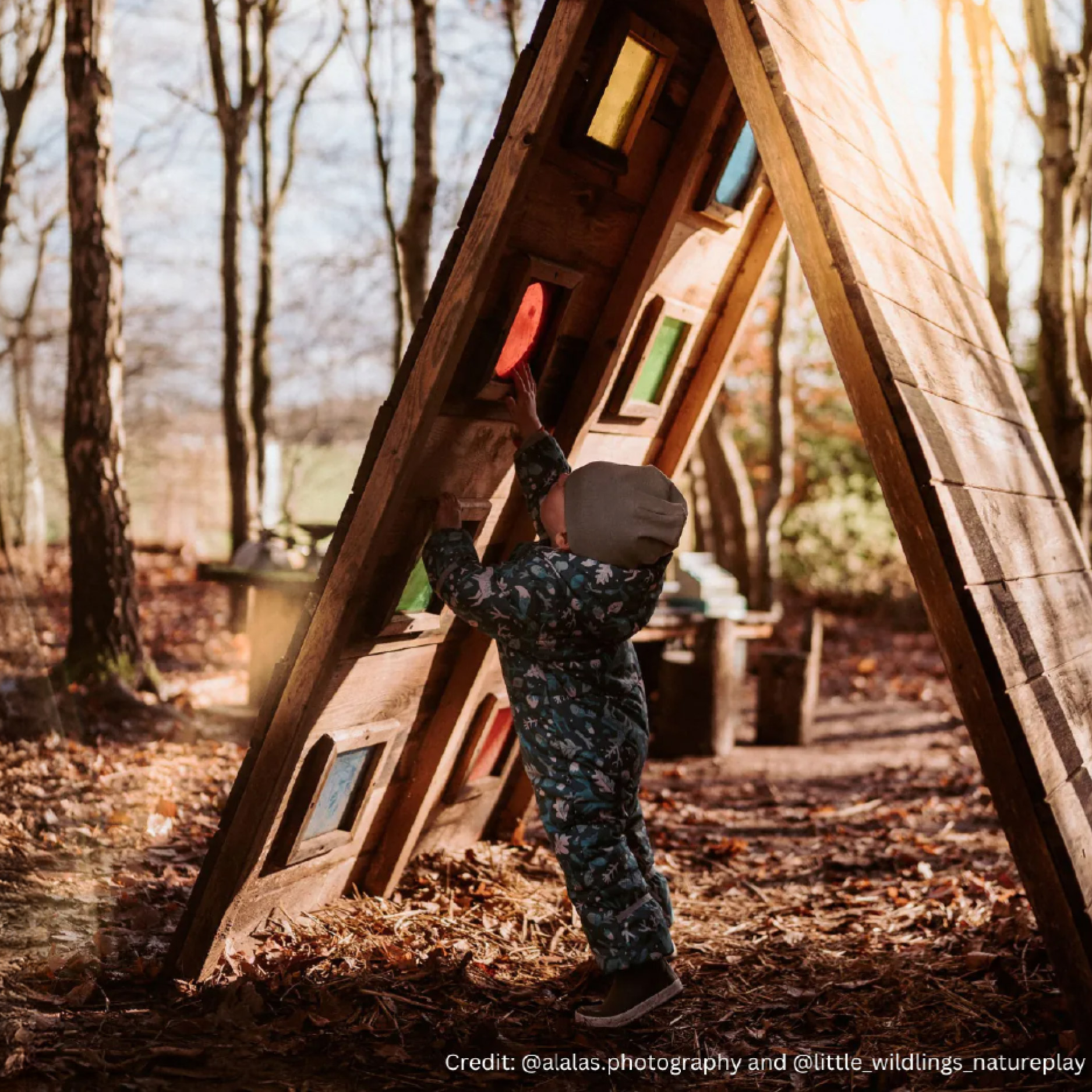Explore the Cosy Environment and sustainability page