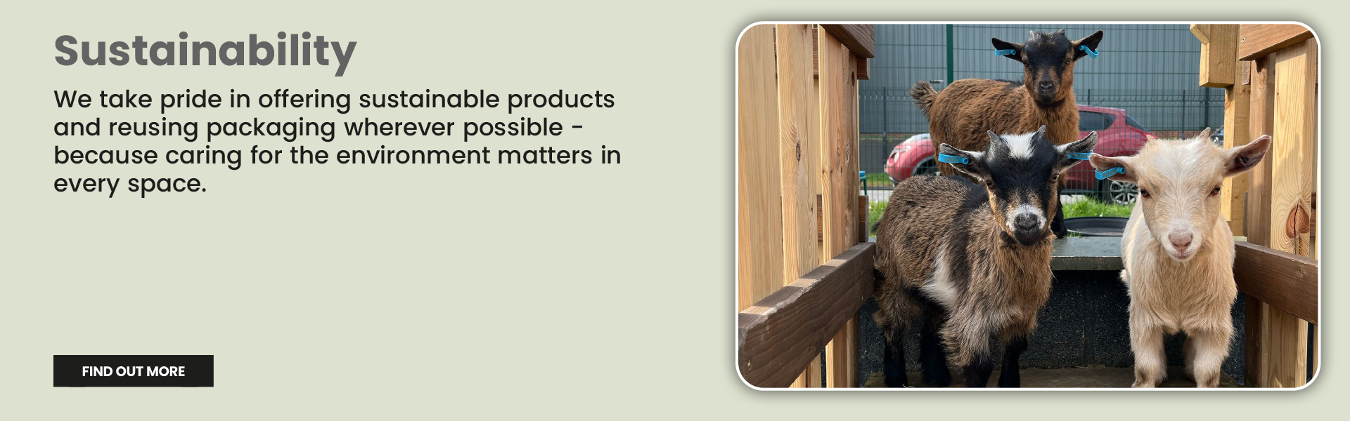 read more about cosy sustainability